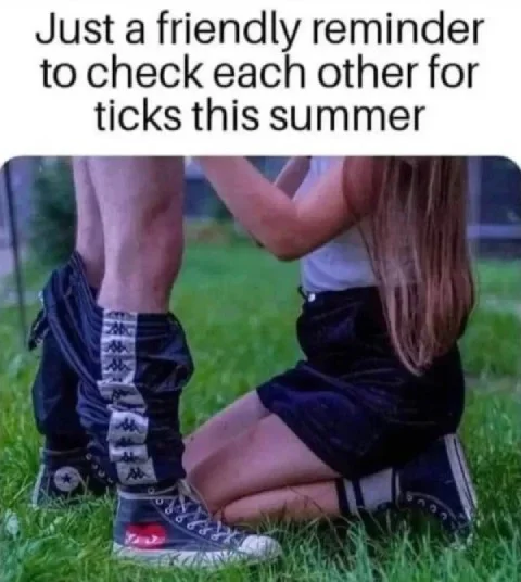 A meme with text reading, 'Just a friendly reminder to check each other for ticks this summer.' Below the text, a woman is kneeling on the grass in front of a standing man whose pants are pulled down around his ankles, humorously implying an intimate act under the guise of checking for ticks.