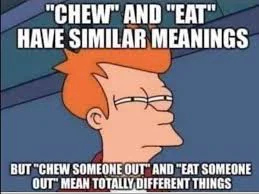 A meme featuring Fry from Futurama squinting. Top text: 'CHEW' AND 'EAT' HAVE SIMILAR MEANINGS. Bottom text: BUT 'CHEW SOMEONE OUT' AND 'EAT SOMEONE OUT' MEAN TOTALLY DIFFERENT THINGS.
