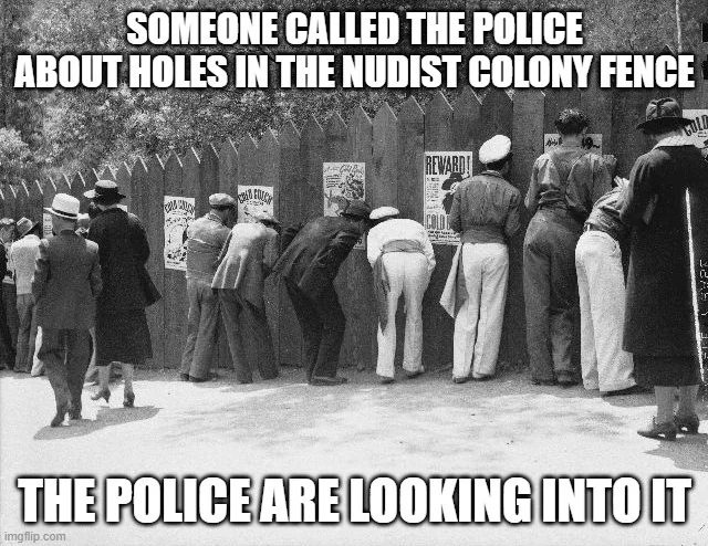 Someone called the police about holes in the nudist colony fence. They're looking into it