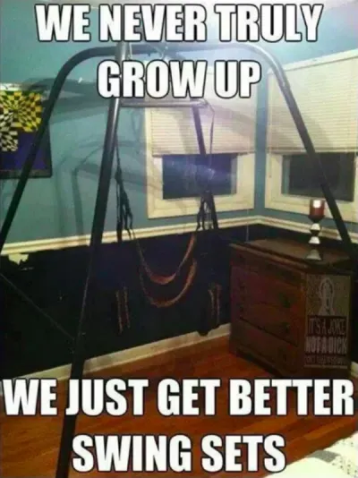 We never truly grow up, we just get better swing sets