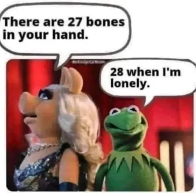 There are 27 bones in your hand. 28 if you're lonely
