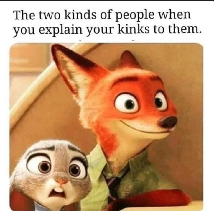 Zootopia characters Judy Hopps looking shocked and Nick Wilde smirking, with text above reading "The two kinds of people when you explain your kinks to them."